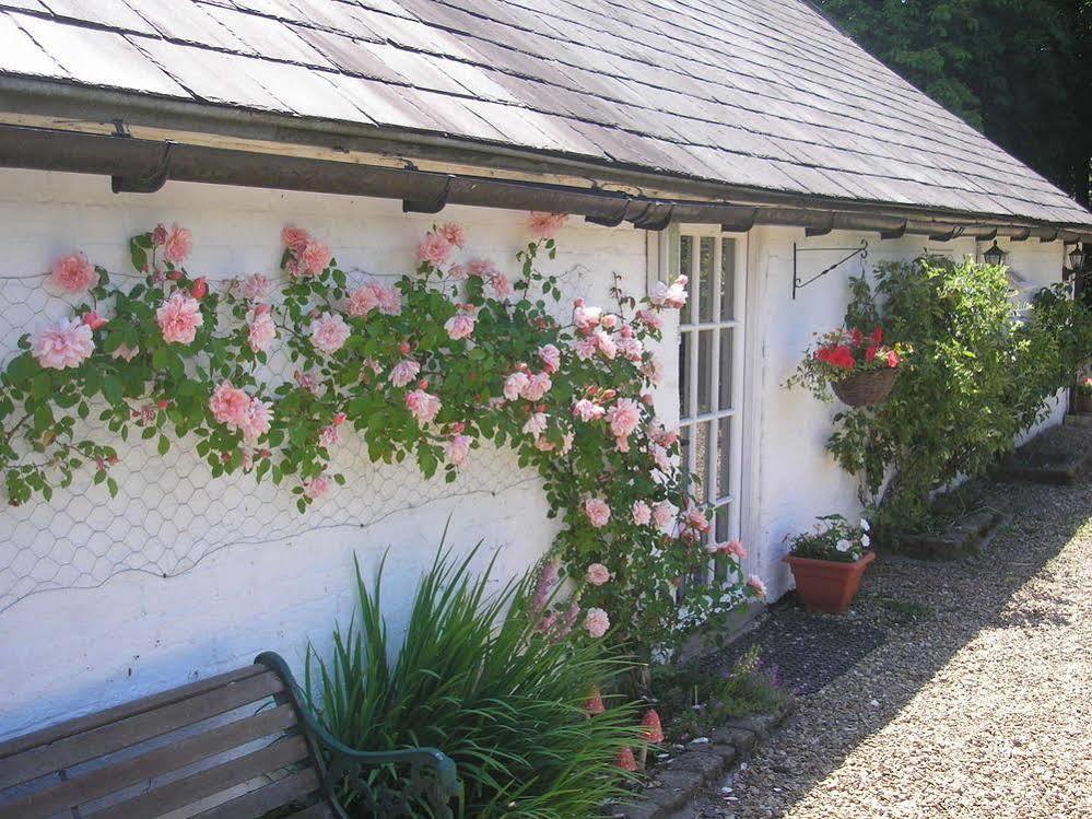 Bed and Breakfast Detling Coachhouse à Maidstone Extérieur photo